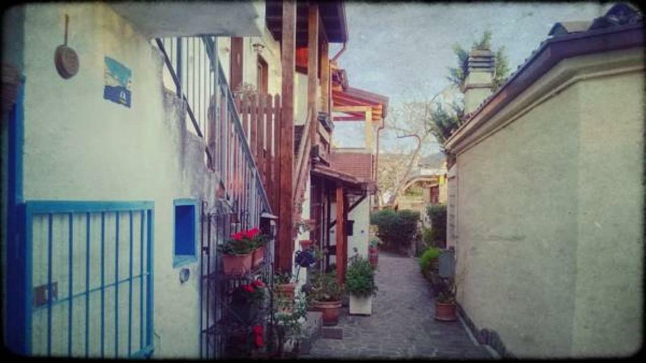 Barcola Holidays *